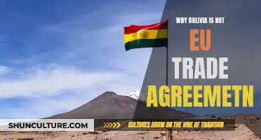 Bolivia's Trade Future: Why No EU Agreement?