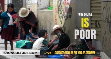 Bolivia's Poverty: A Complex Web of Challenges and History