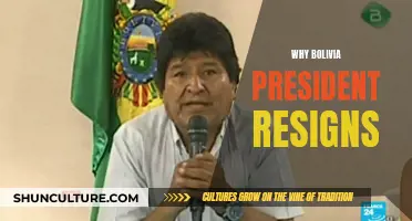 Bolivia's President Resigns: What Led to This?