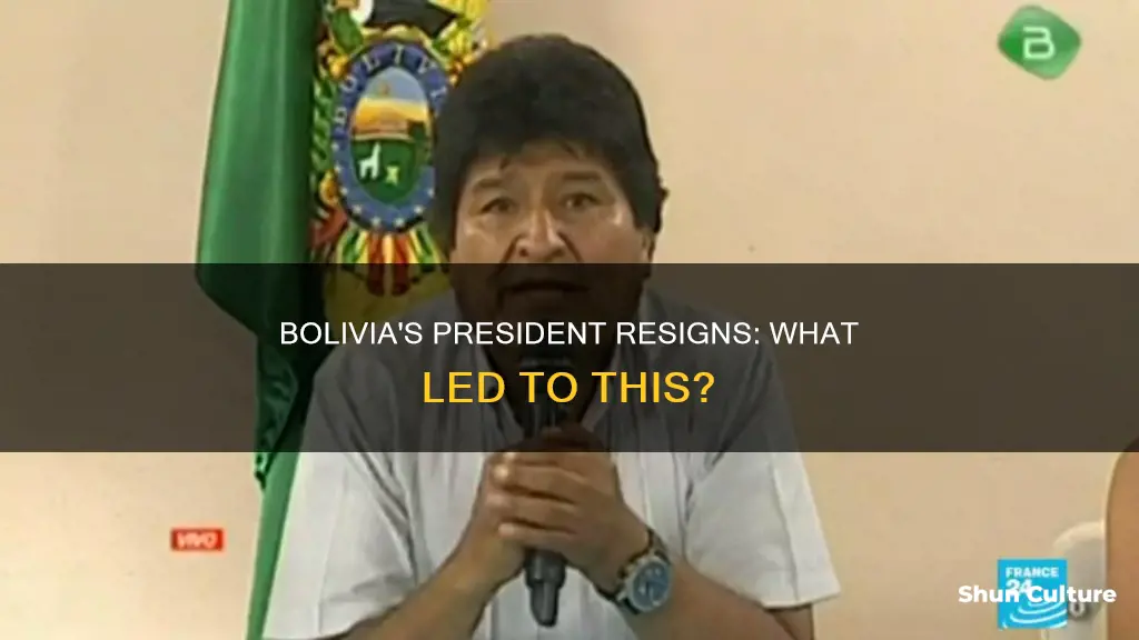 why bolivia president resigns