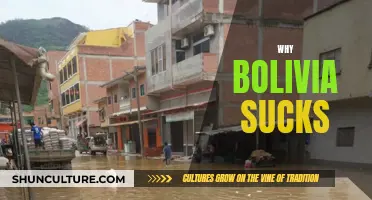 Bolivia: A Country Plagued by Challenges and Disappointments