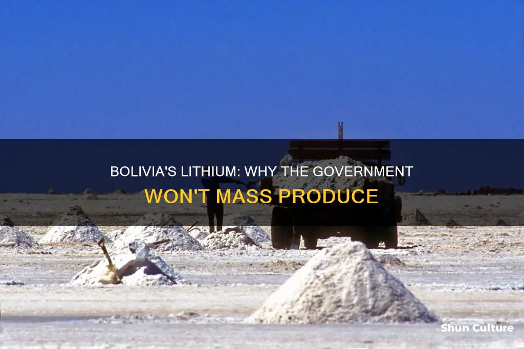 why bolivian government wont mass produce lithiu