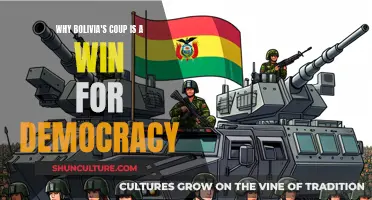 Bolivia's Coup: A Win for Democracy?