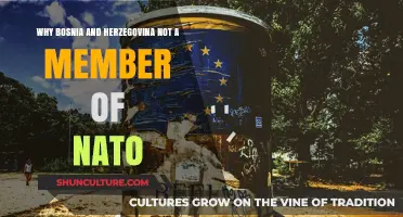Bosnia and Herzegovina's NATO Absence: Political and Strategic Factors Explained
