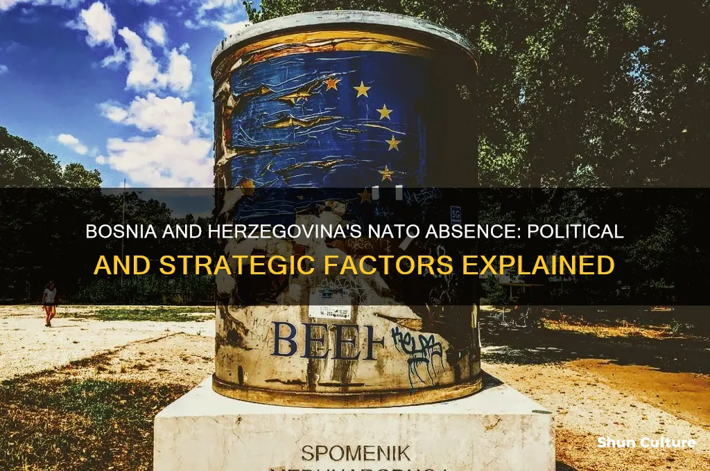 why bosnia and herzegovina not a member of nato