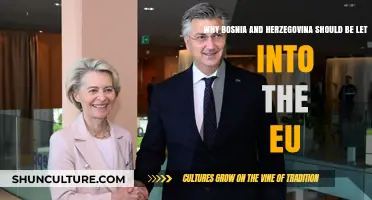 Bosnia and Herzegovina: A Strategic EU Accession for Stability and Growth
