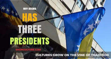 Bosnia's Unique Presidency: Understanding the Three-President System