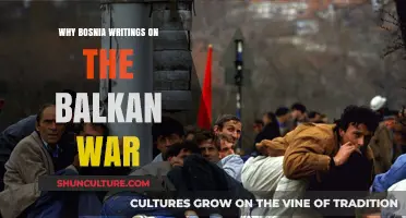 Bosnia's Balkan War Writings: Unveiling Historical Truths and Personal Narratives