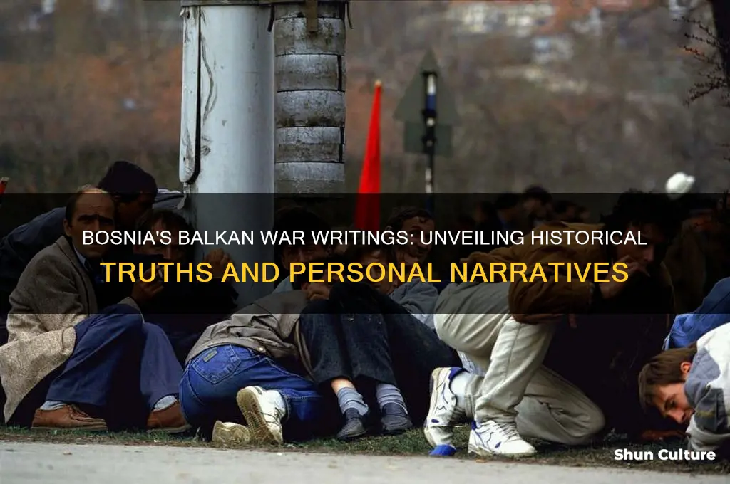 why bosnia writings on the balkan war