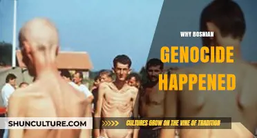 Unraveling the Complex Causes Behind the Bosnian Genocide