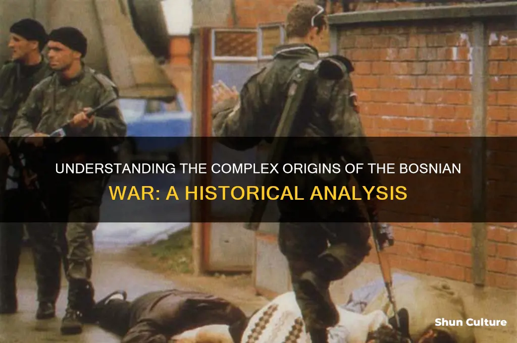 why bosnian war happened