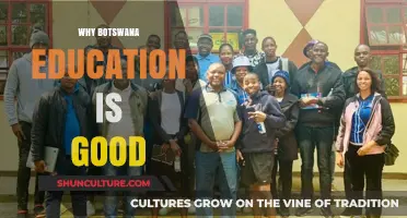 Botswana's Education Success: Key Factors Driving Excellence and Innovation