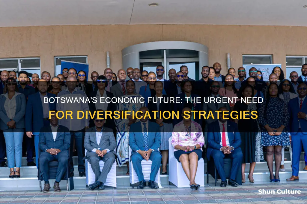 why botswana needs diversification