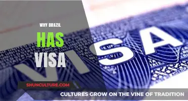 Why Brazil Requires Visas: Understanding the Country's Visa Policies