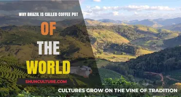 Brazil's Brew: Unveiling the Coffee Pot of the World