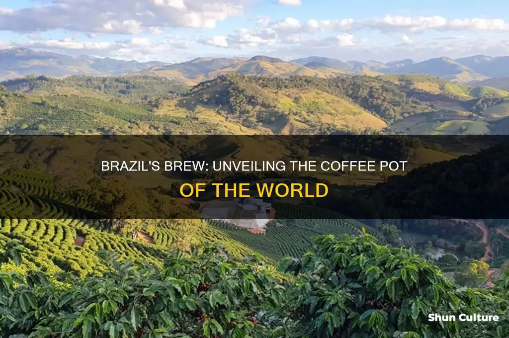 why brazil is called coffee pot of the world