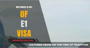Brazil's E-1 Visa Exit: Understanding the Reasons Behind the Change
