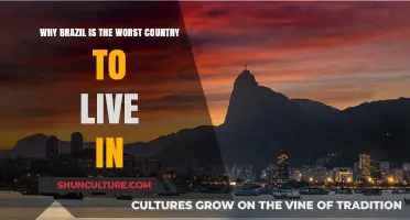 Brazil's Challenges: Uncovering the Struggles of Living in a Troubled Nation