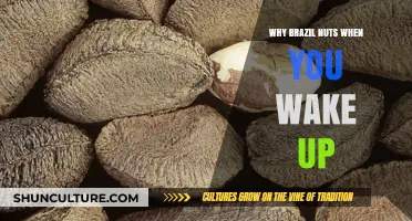 Boost Your Morning Energy: Brazil Nuts' Surprising Wake-Up Benefits
