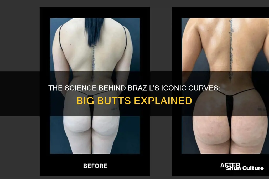 why brazil people big butts