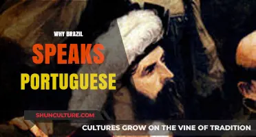 Why Brazil Speaks Portuguese: Unraveling the Historical and Cultural Journey