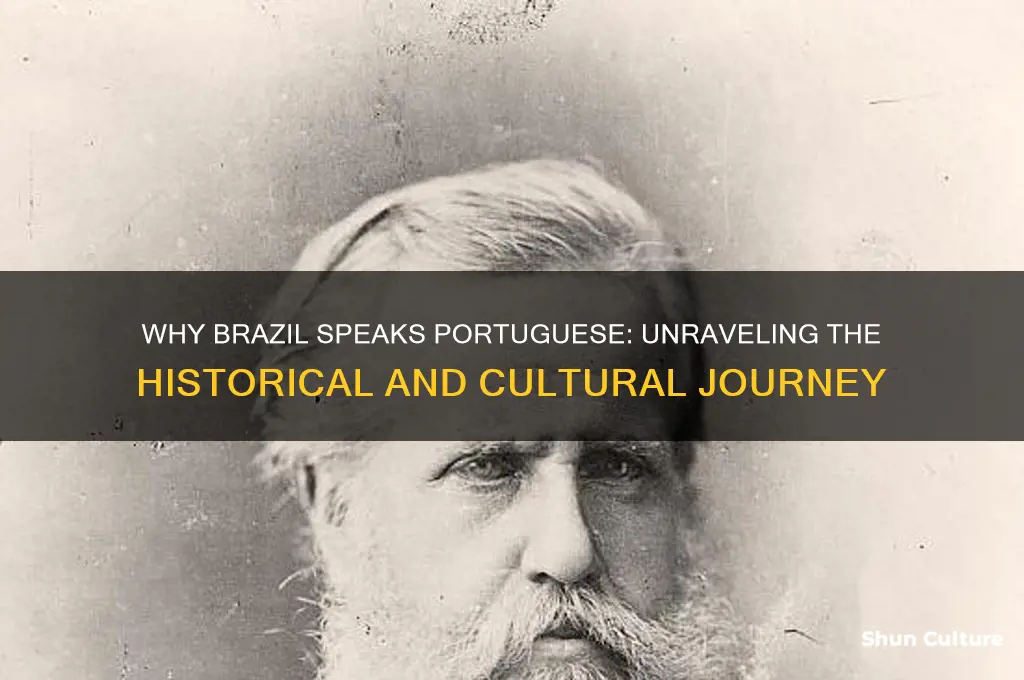 why brazil speaks portuguese