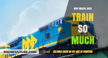 Brazil's Train Reliance: Exploring the Country's Extensive Railway Network