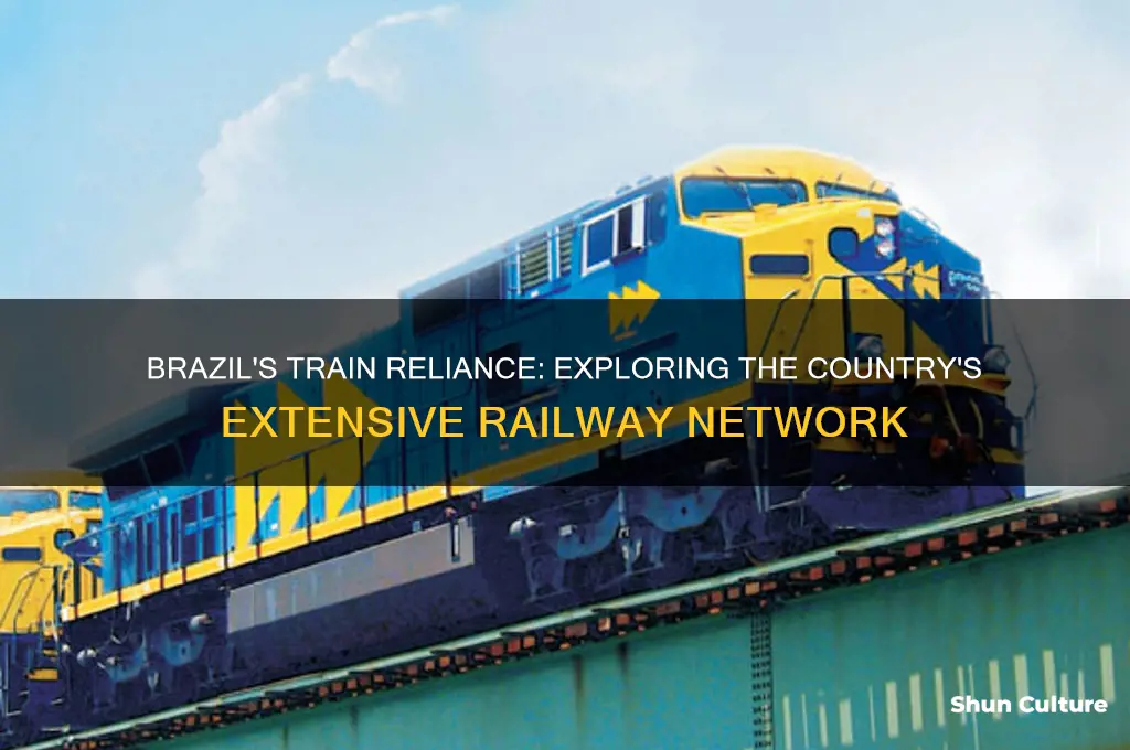 why brazil uses train so much