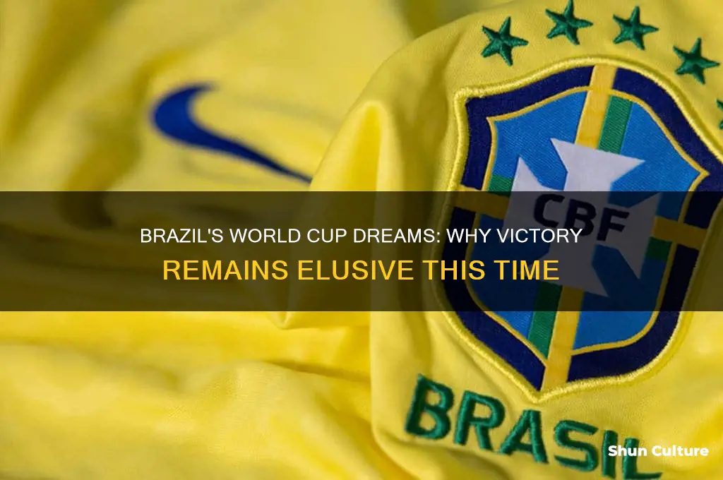 why brazil won