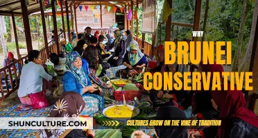 Brunei's Conservatism: A Cultural and Historical Perspective