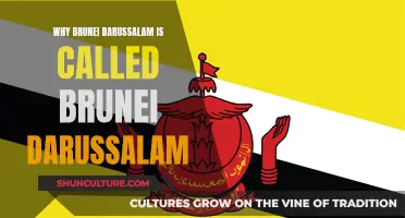 Unveiling the Origins of Brunei Darussalam's Name