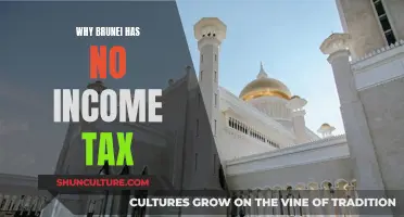 Brunei's Unique Advantage: No Income Tax