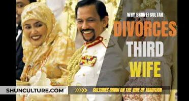 The Sultan's Third Divorce: Unraveling the Mystery