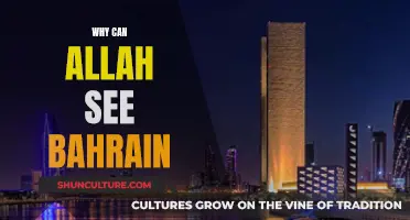 Allah's Vision: Bahrain in Divine Sight