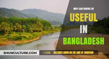 Bangladesh's Lifeline: Exploring the Vital Role of Rivers in Daily Life