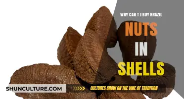 Why Are Brazil Nuts in Shells So Hard to Find?