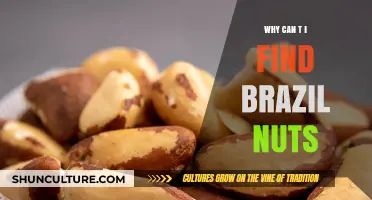 Where Have All the Brazil Nuts Gone? A Supply Mystery Explained