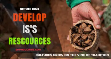 Brazil's Resource Paradox: Barriers to Development and Economic Growth