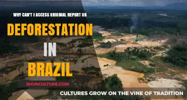 Blocked Access: Uncovering Barriers to Brazil's Deforestation Reports