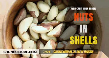 Why Brazil Nuts in Shells Are Rarely Sold in Stores