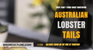 Where Have All the Giant Lobster Tails Gone?