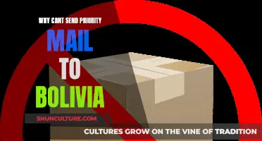 Priority Mail to Bolivia: Understanding the Restrictions