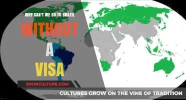 Visa Requirements for Brazil: Understanding Travel Restrictions for Visitors