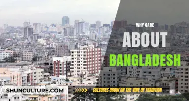 Discover Bangladesh's Rich Culture, Vibrant Economy, and Global Impact