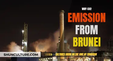 The Impact of Brunei's CO2 Emissions