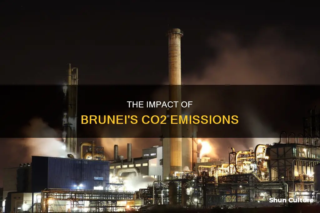 why co2 emission from brunei