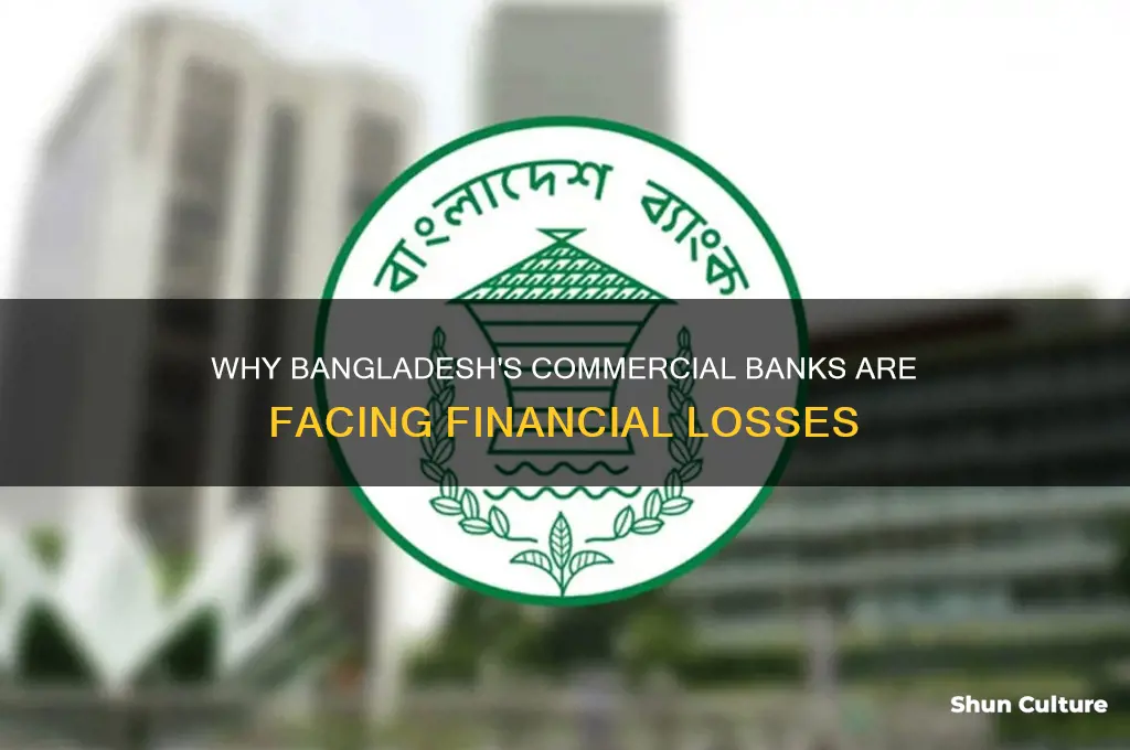 why commercial banks in bangladesh lose money6