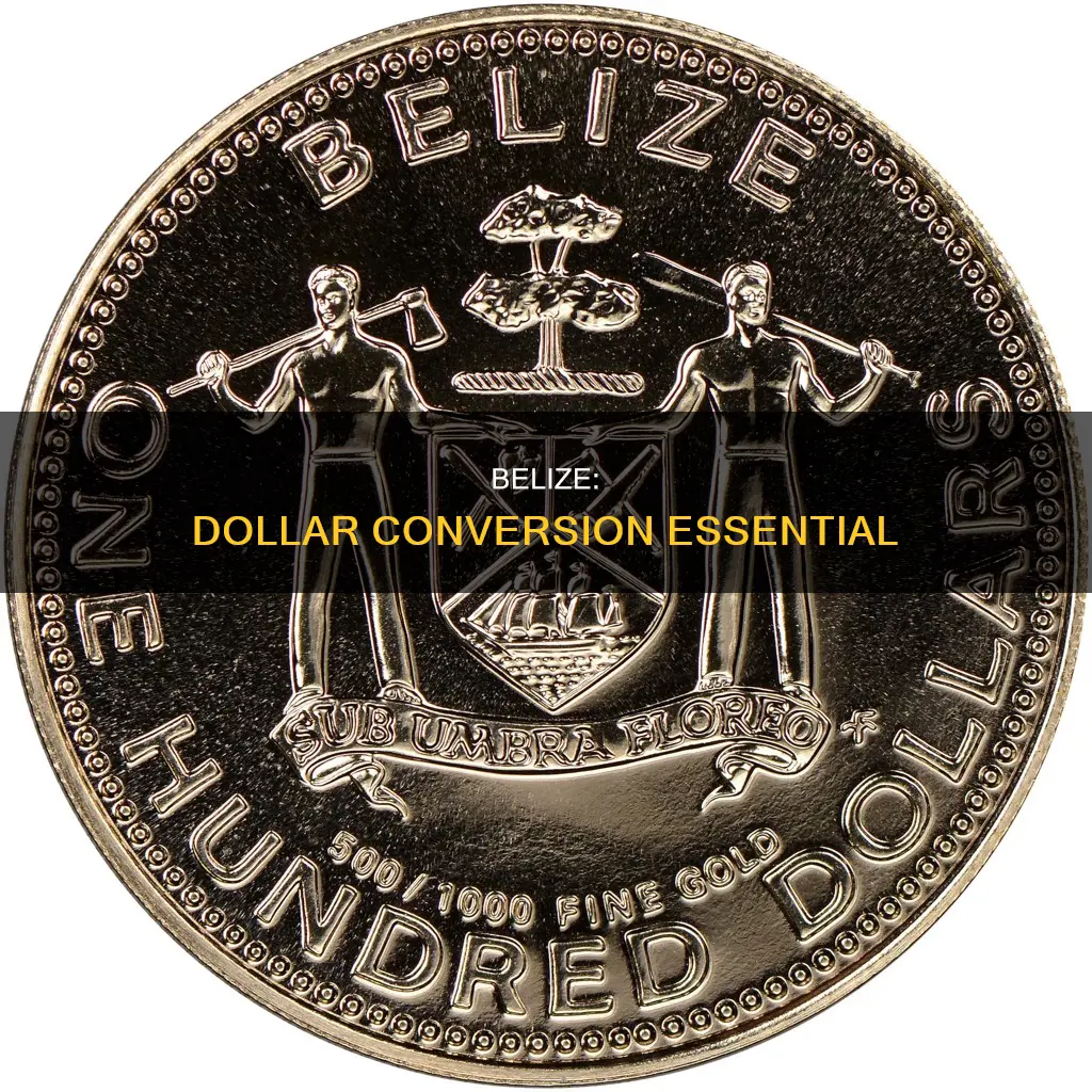 why convert american dollars to belize money