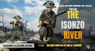 Italy's Isonzo River Defense Against Austria-Hungary