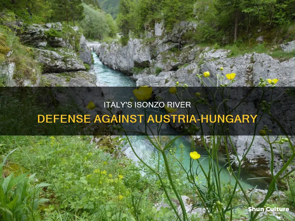 why could austria-hungary not defeat italy on the isonzo river